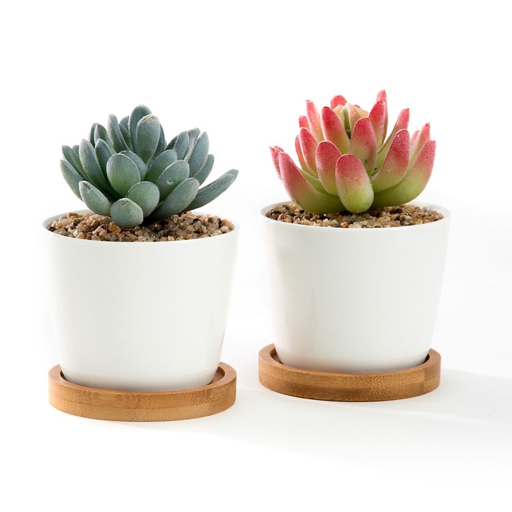 3.5 inch White Ceramic Pot - Picture 4 of 5